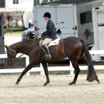 THESE IRONS R DANCIN - Out of Ready To Dance